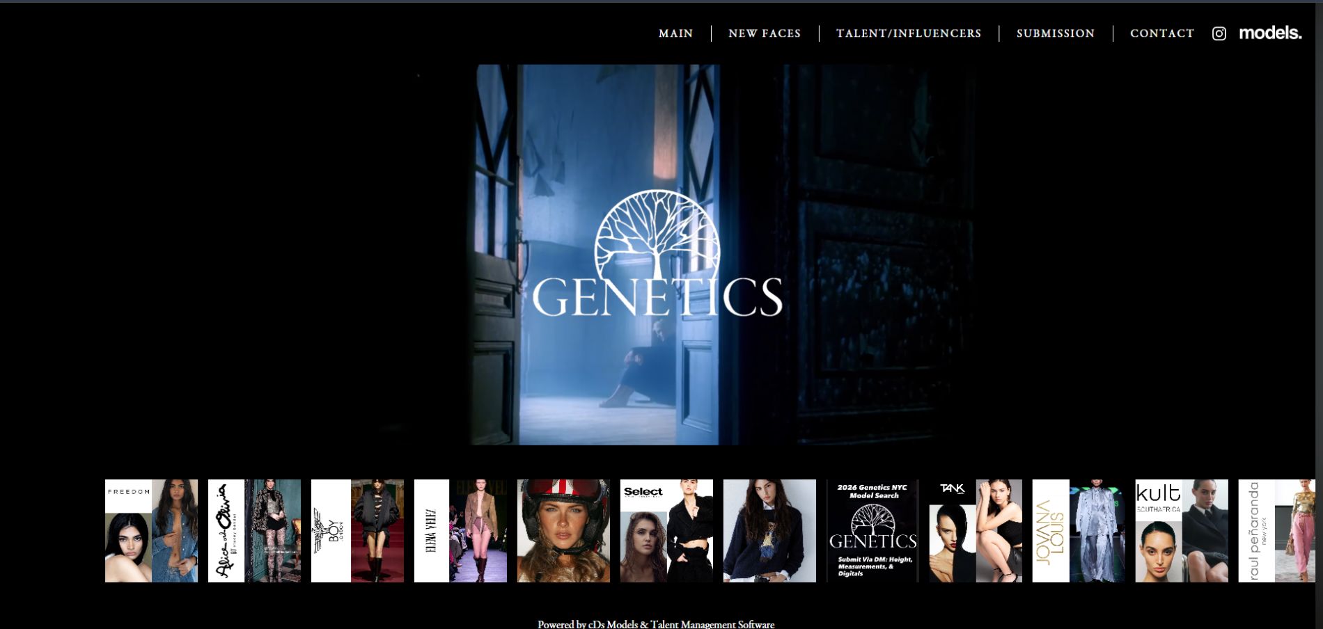 Website Management