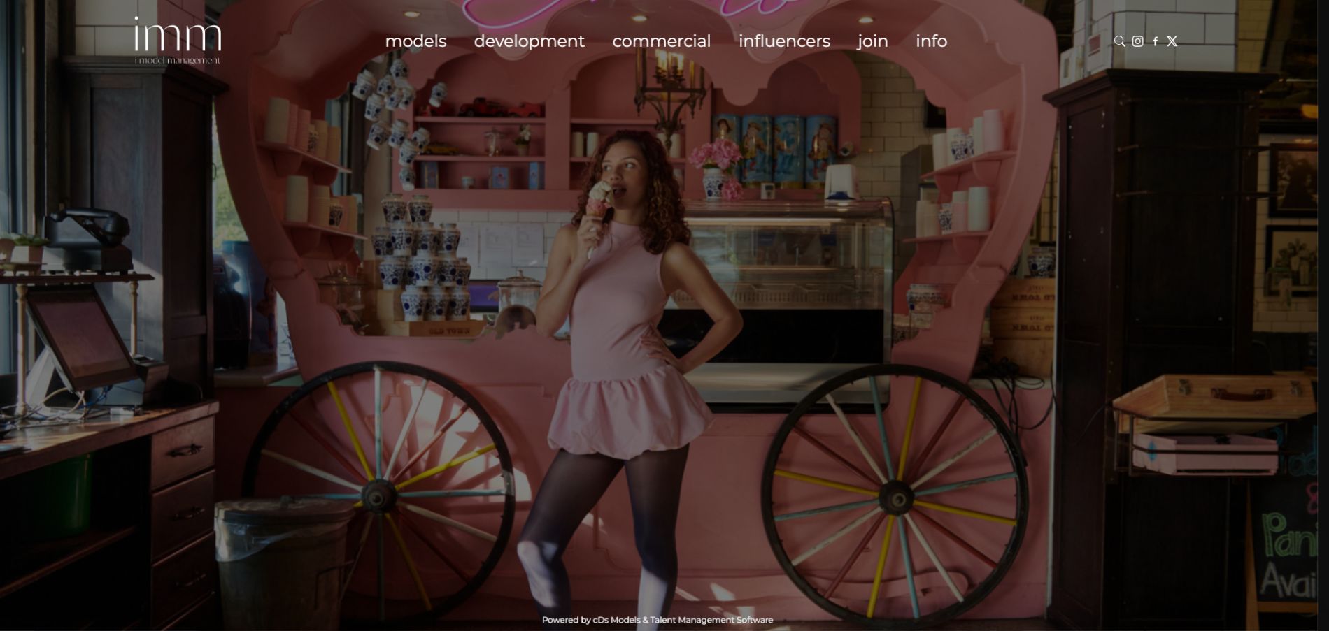 Website Management