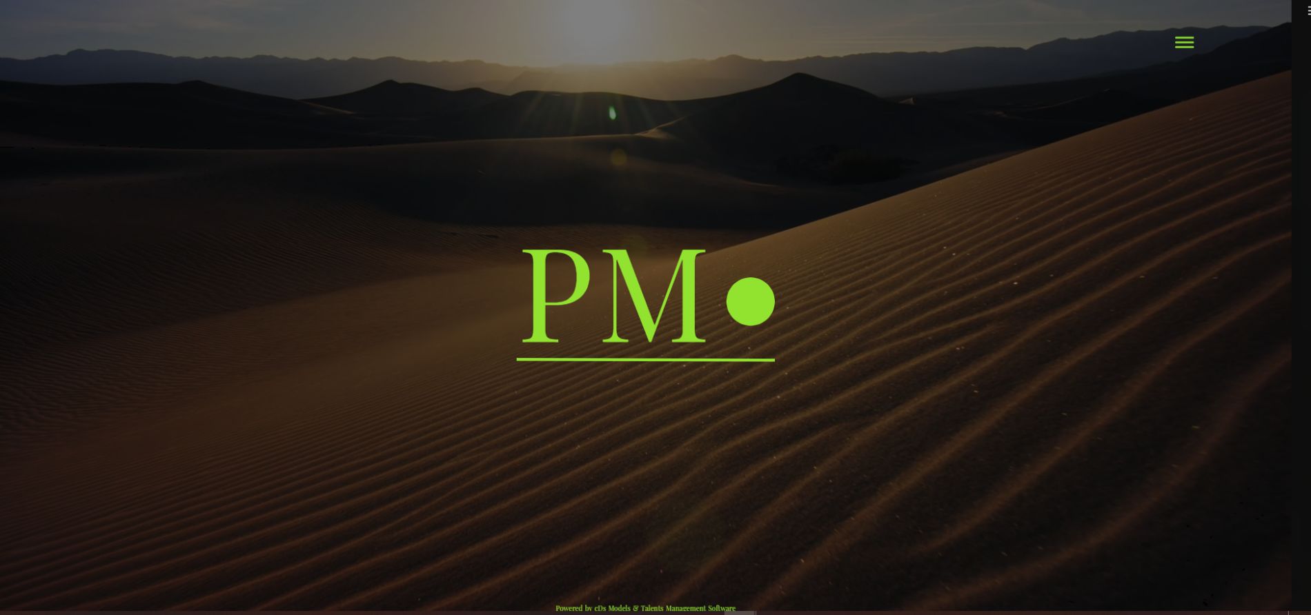 Website Management