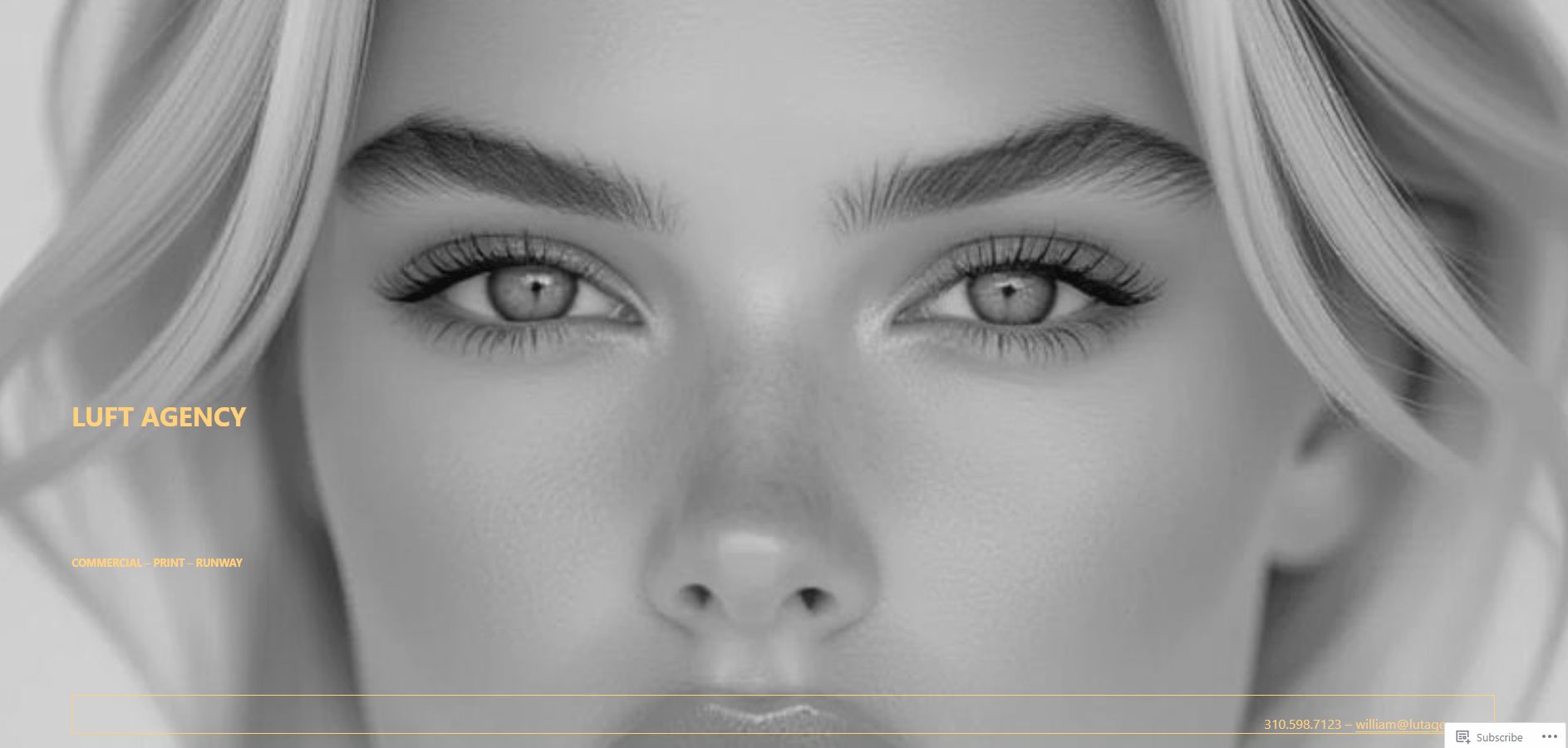 Website Management