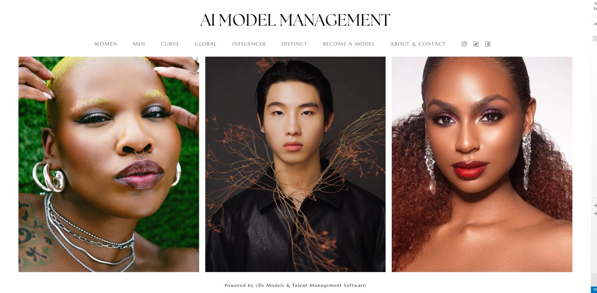 Website Management