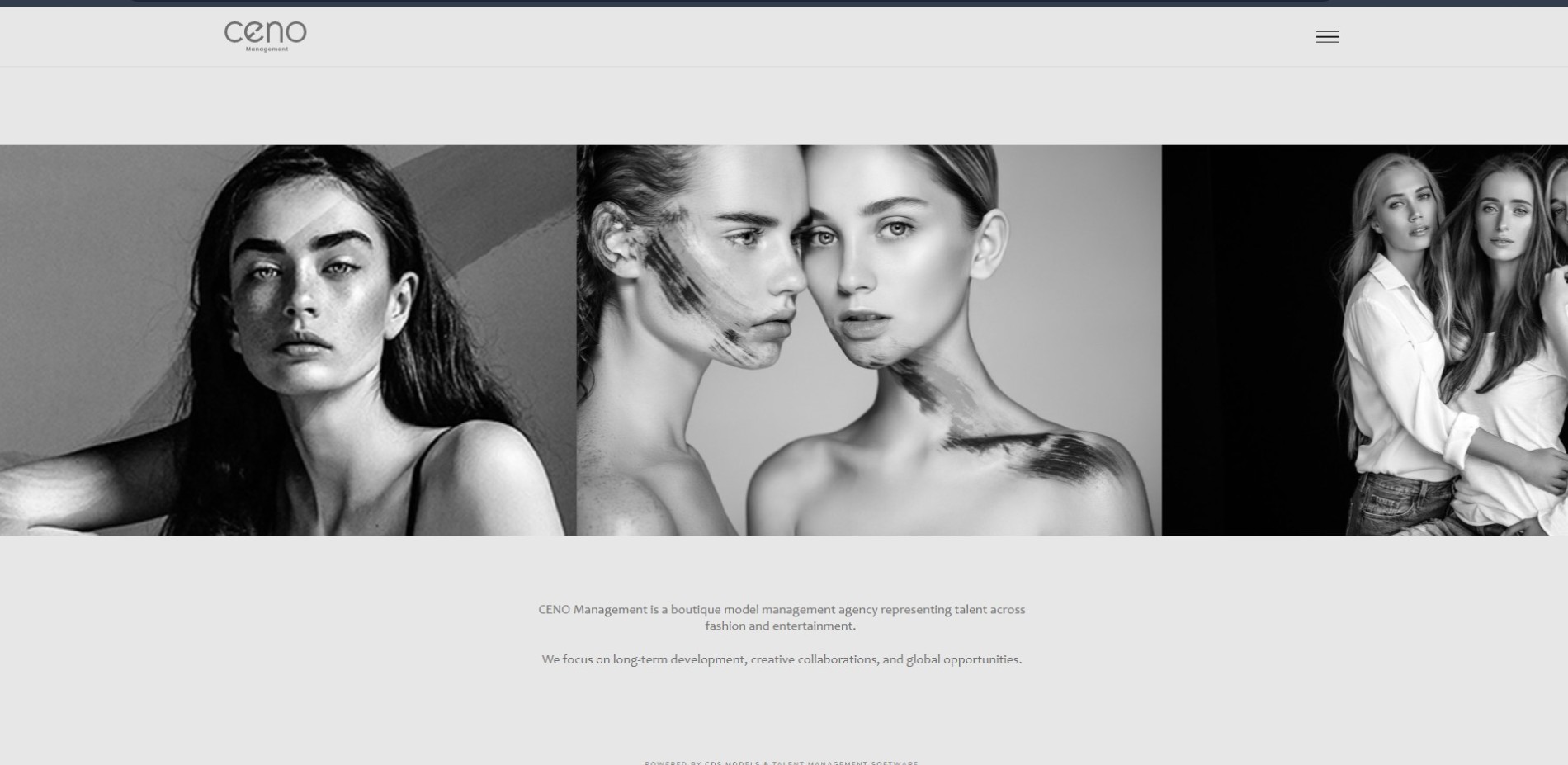Website Management