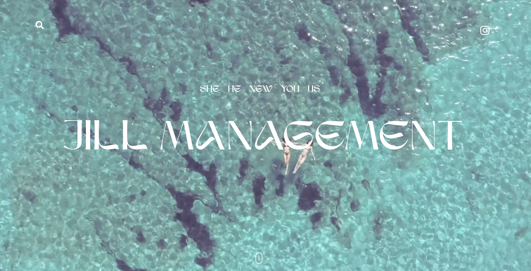 Website Management
