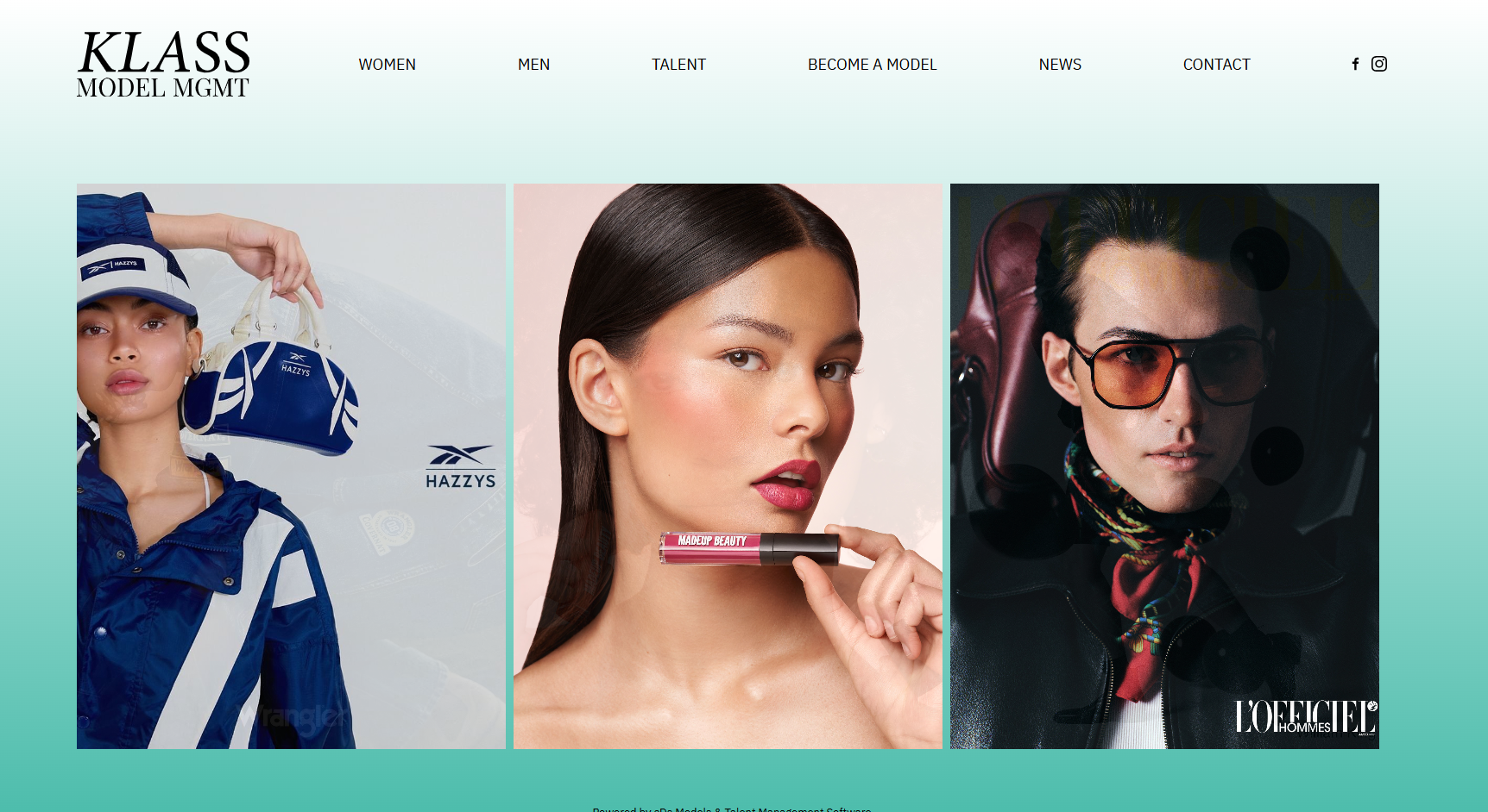 Website Management