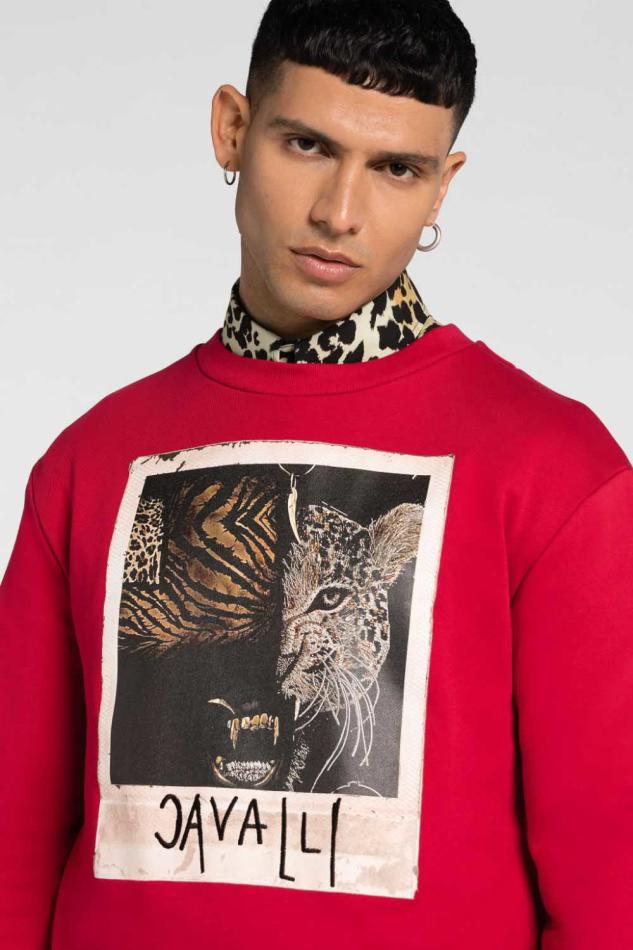 Chams Moussa - fashion model portfolio photo 20