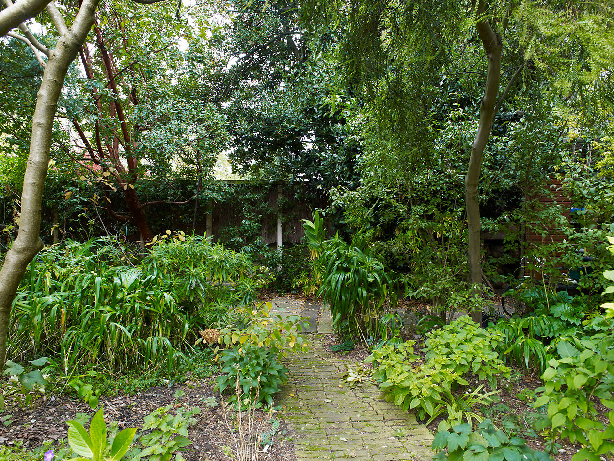 Wonderful Villa SW4