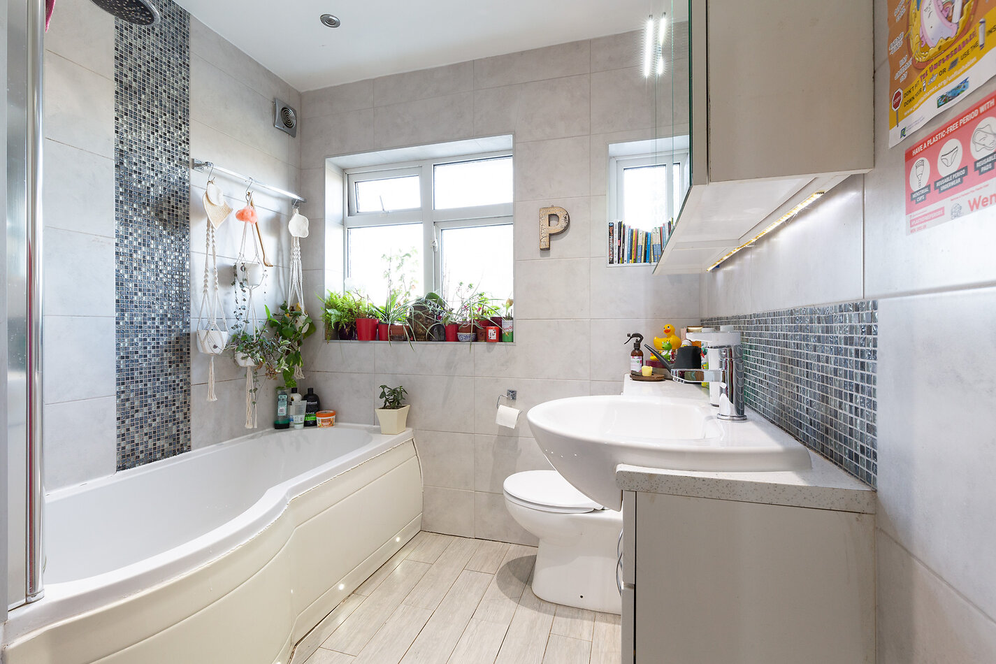 Eco Extension E17