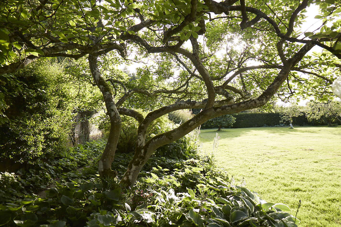Old Vicarage - Suffolk
