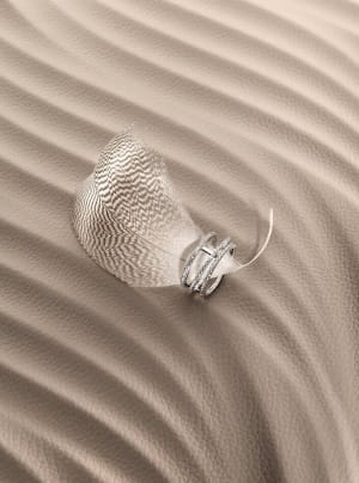 BETTINA VETTER