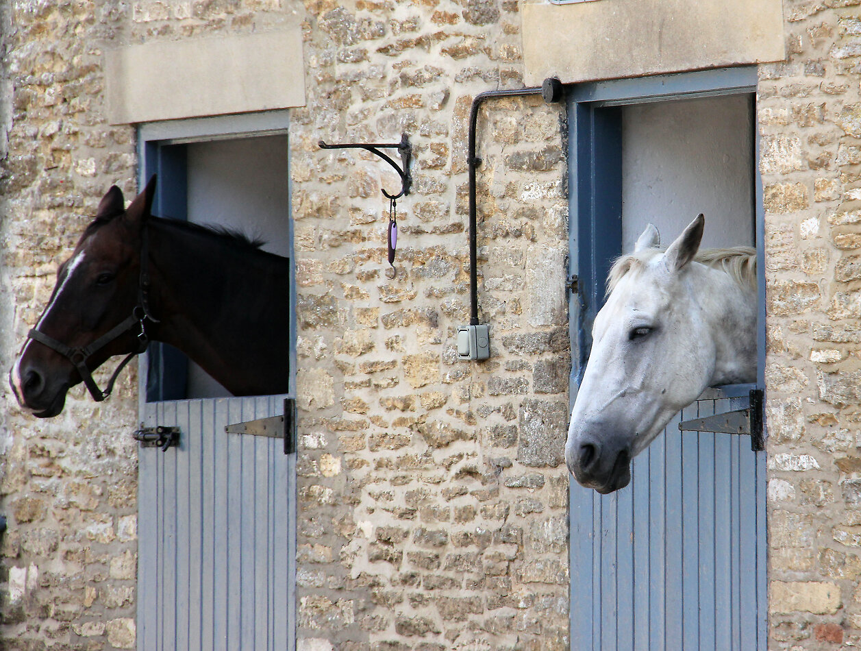 Priory Manor - Tetbury