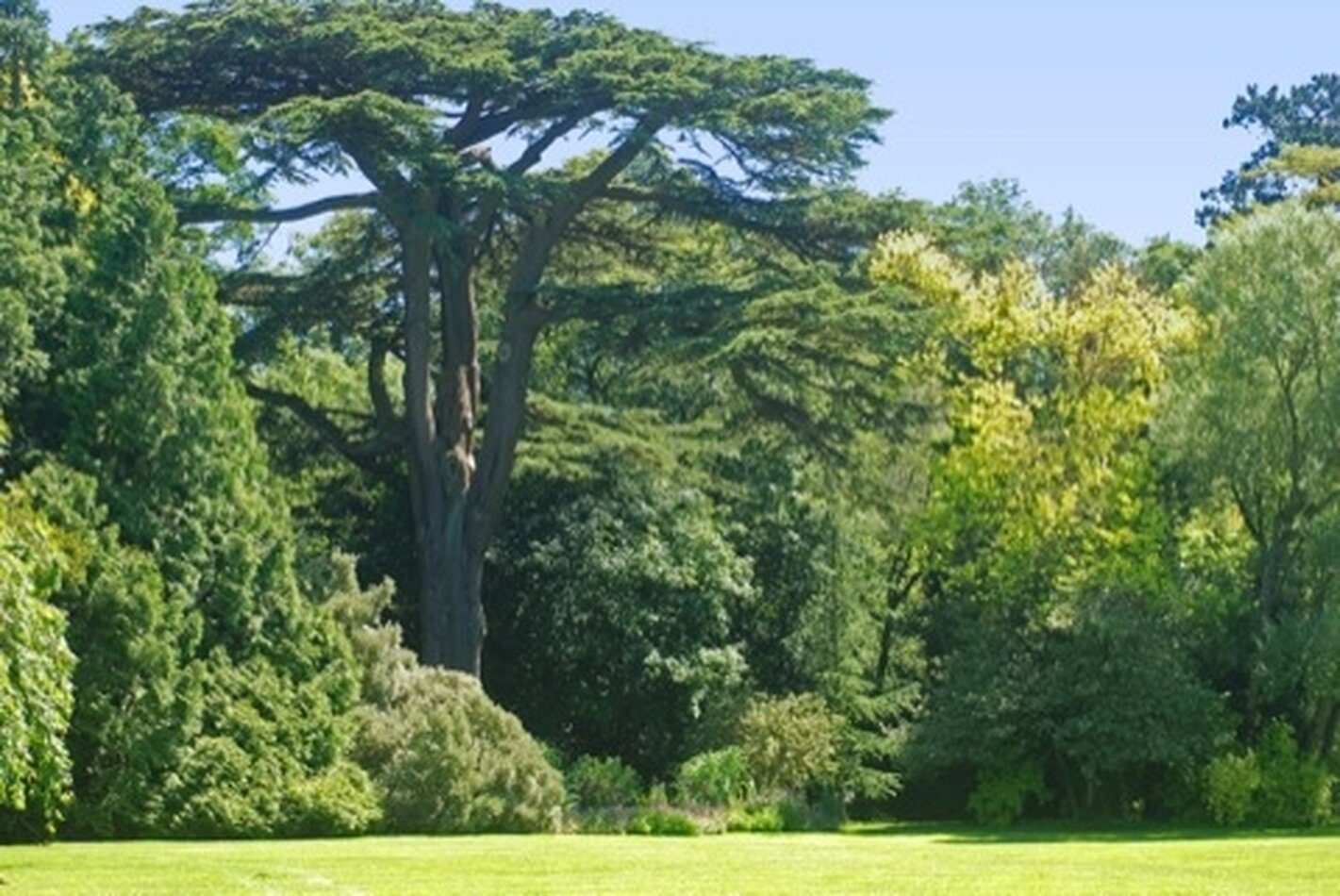 Priory Manor - Tetbury