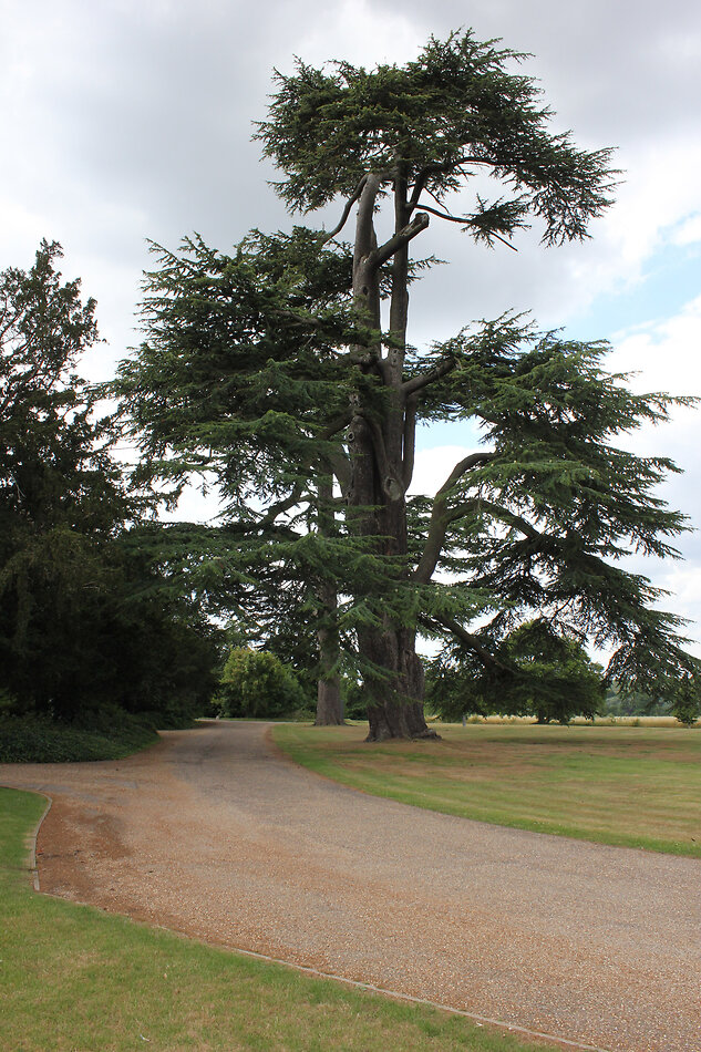 Bayfordbury Mansion Hertfordshire