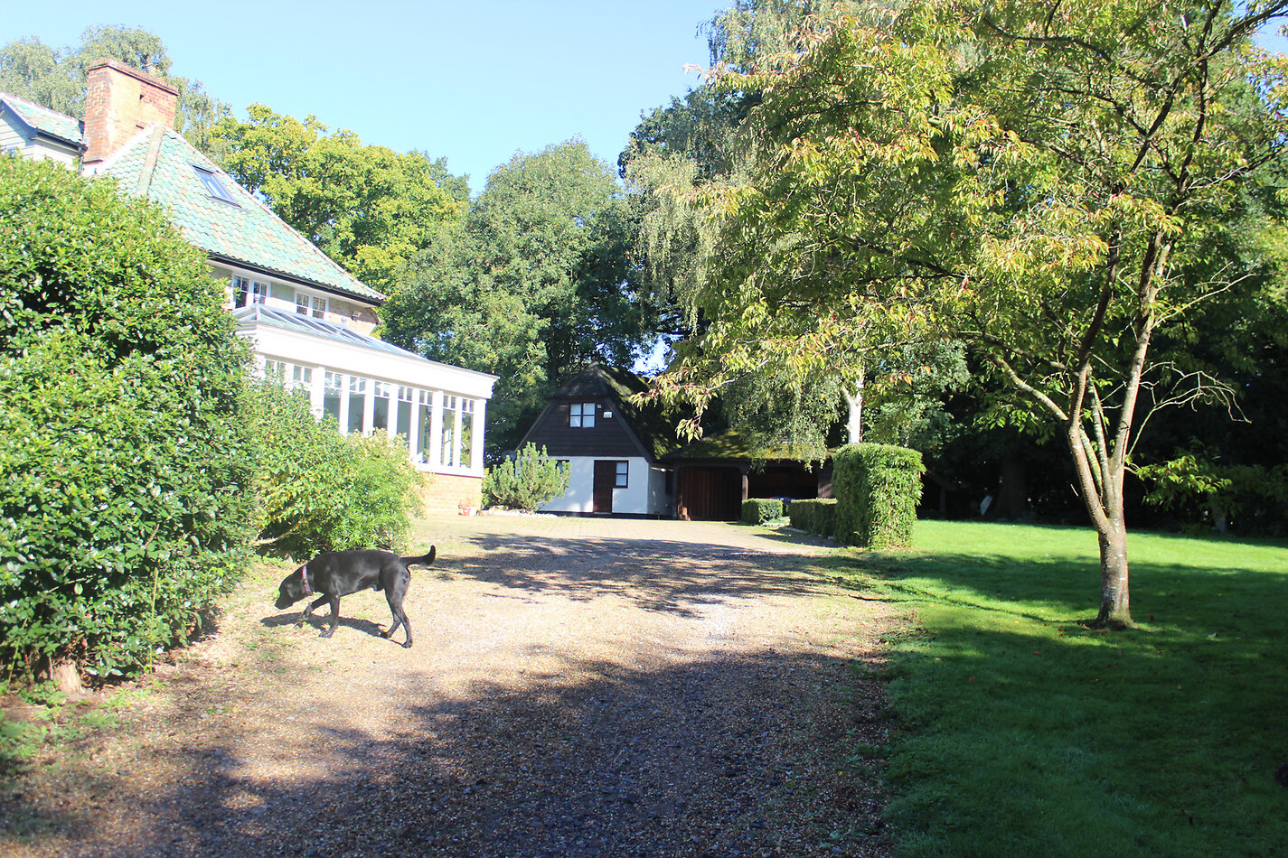Shalloes - SL6