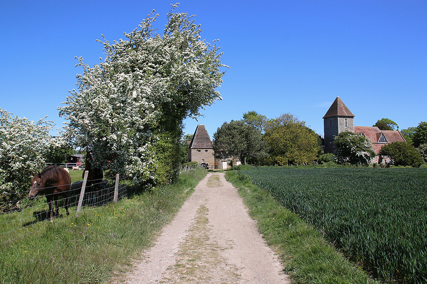 Fantasy in Canterbury