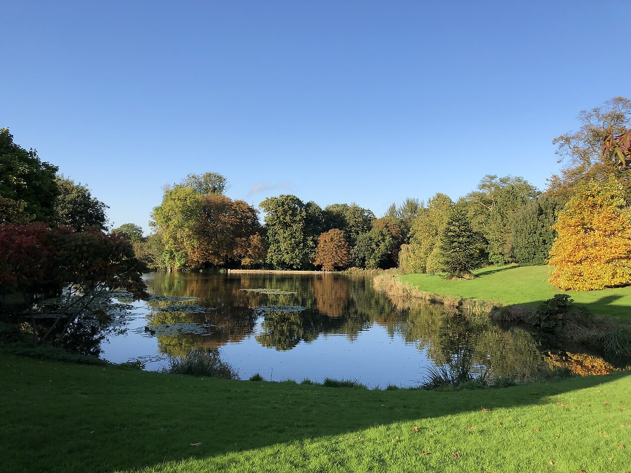 Fantasy in Canterbury