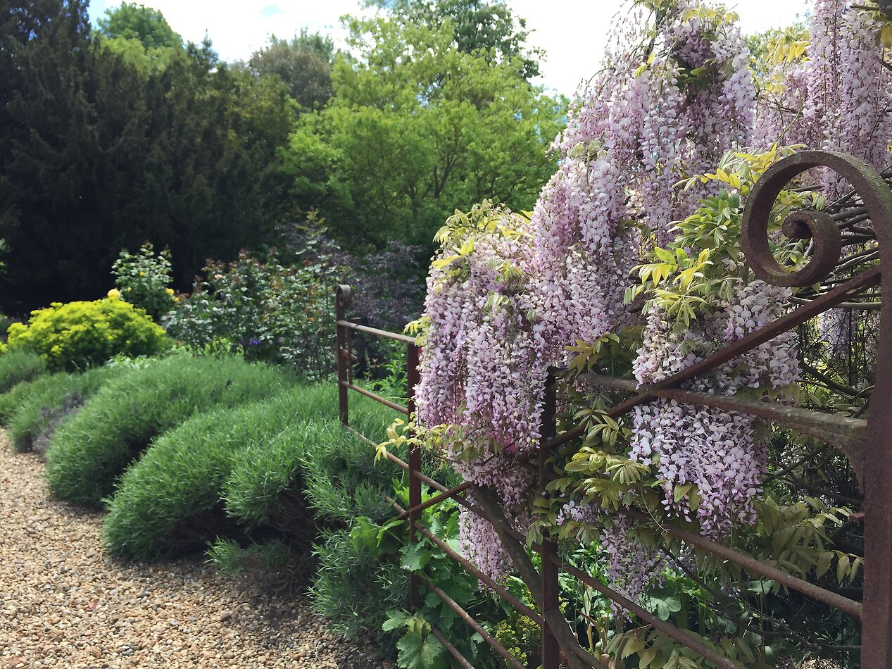 Fantasy in Canterbury