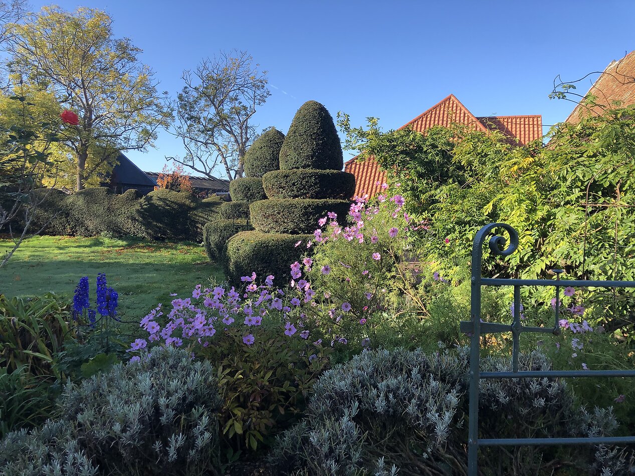 Fantasy in Canterbury