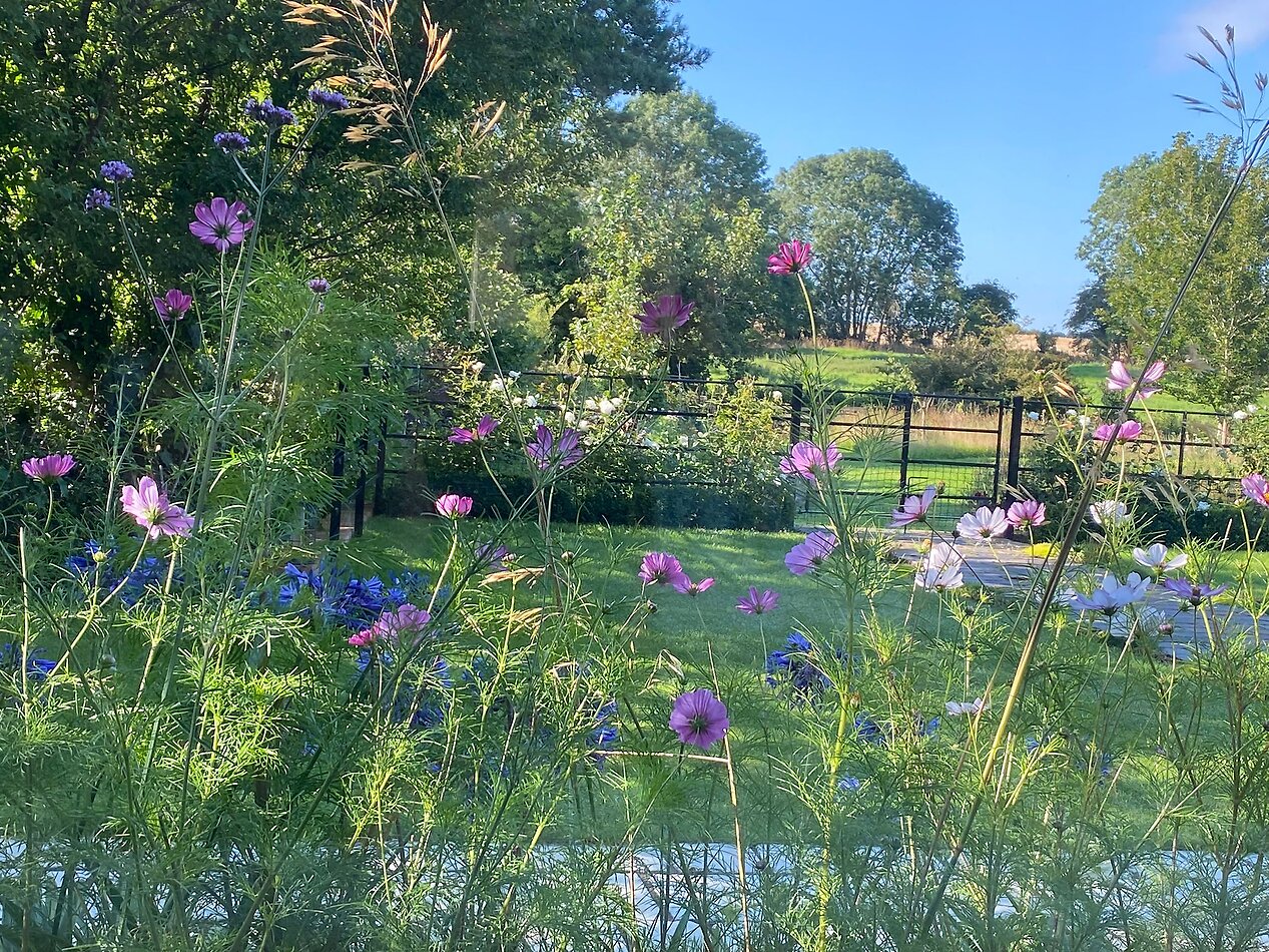 Garden House - Northampton