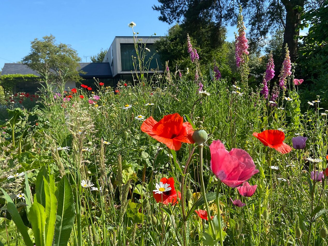Garden House - Northampton