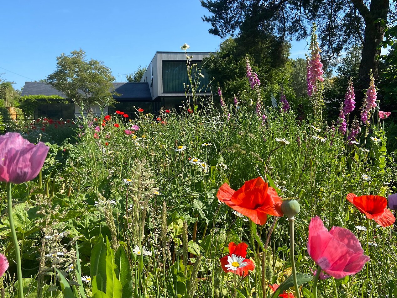 Garden House - Northampton