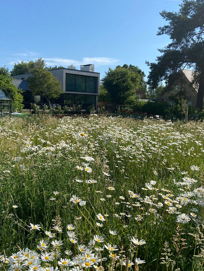 Garden House - Northampton