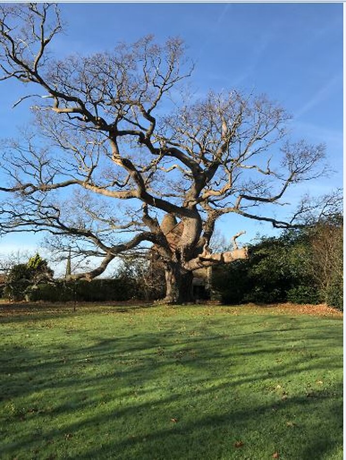 Queen Anne, Ashford, Kent
