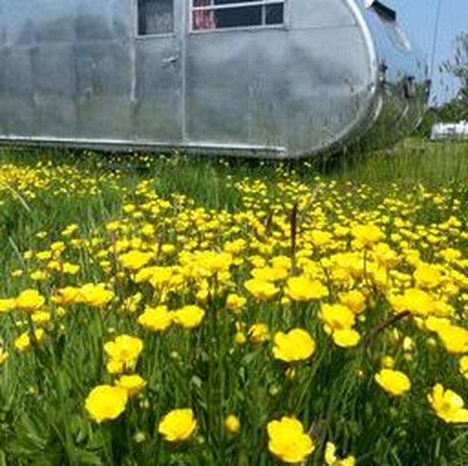 Vintage Airstreams and classic Caravans Isle of Wight EXCLUSIVE