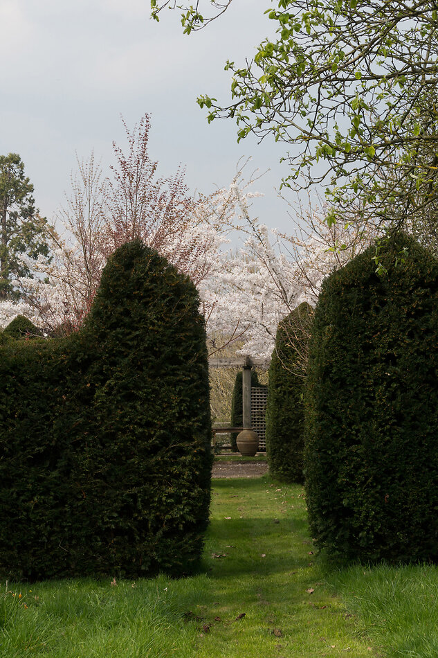 Hampton Manor