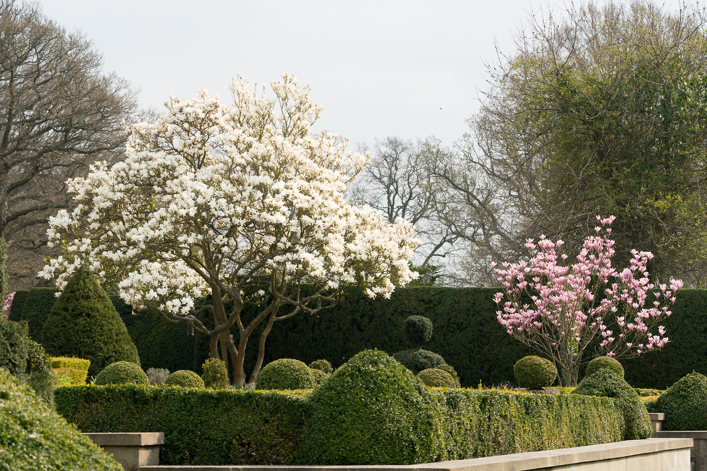 Hampton Manor