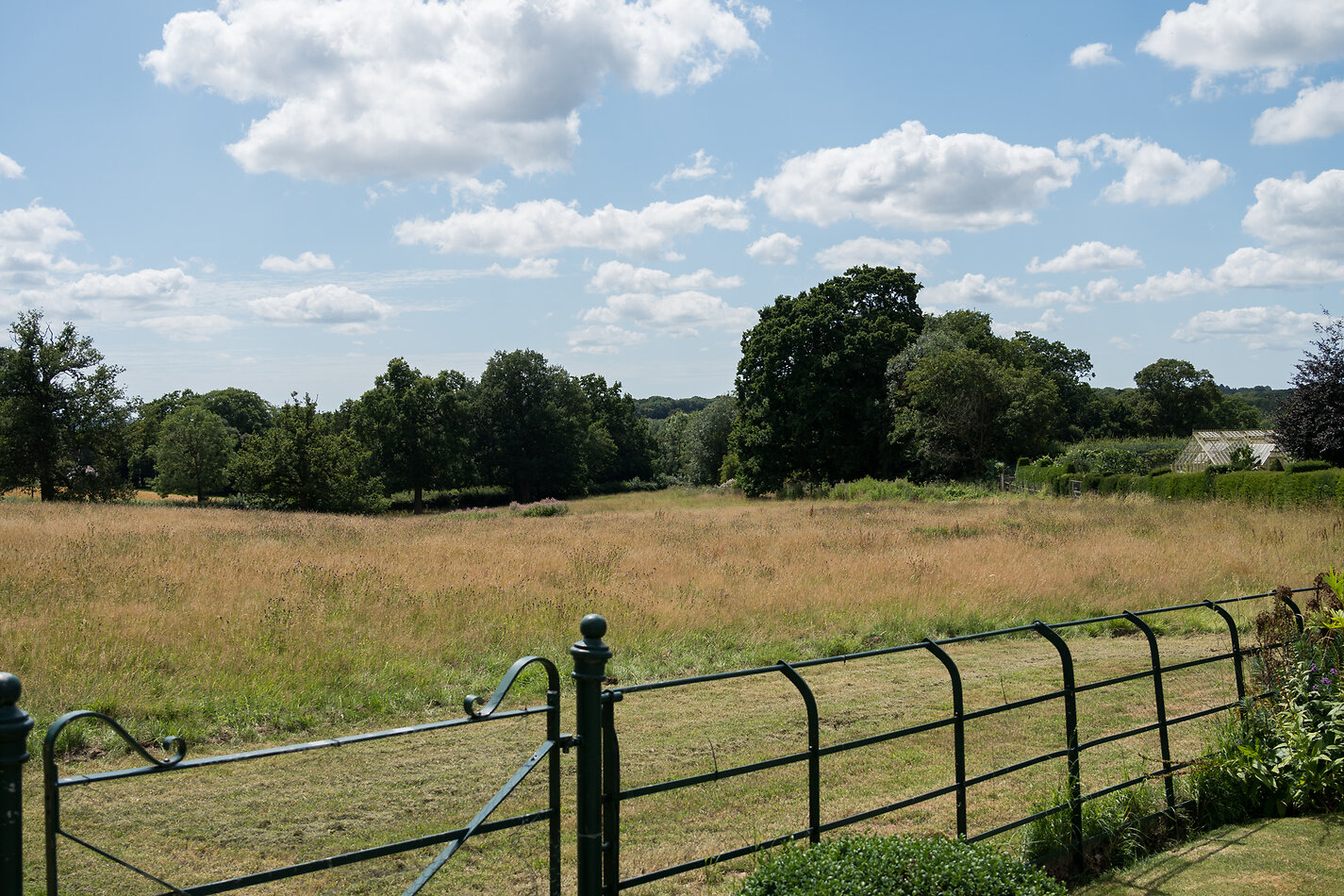 Hampton Manor