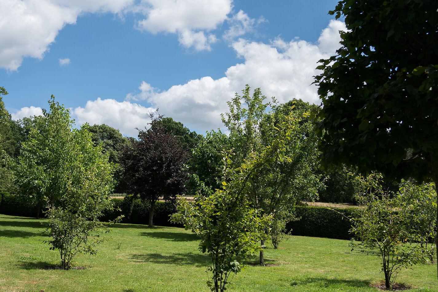 Hampton Manor