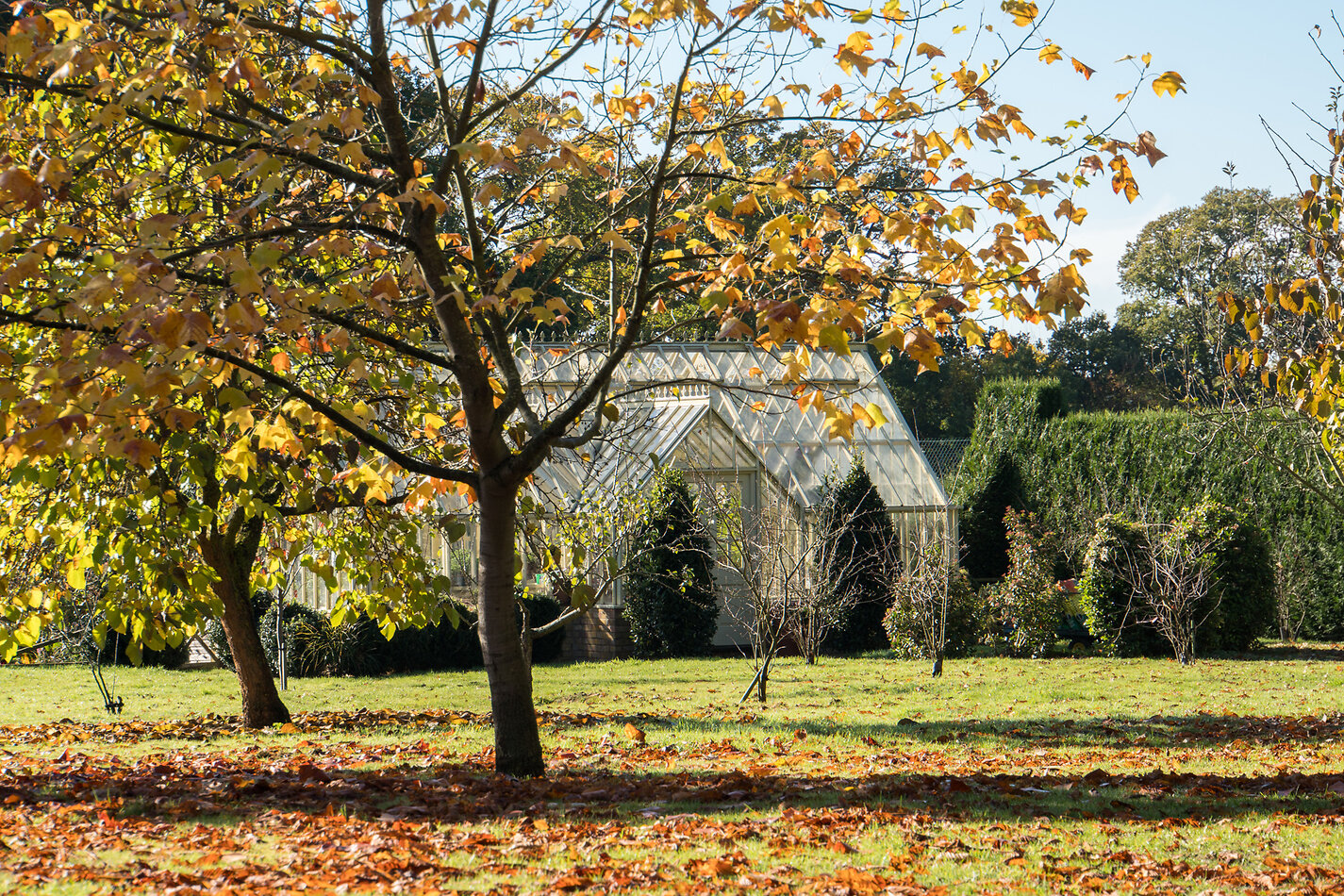 Hampton Manor