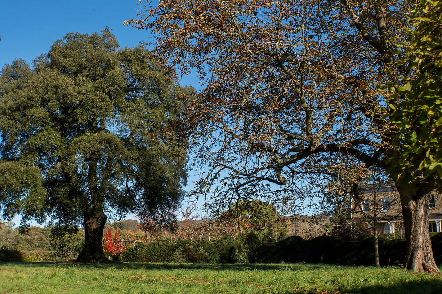 Hampton Manor