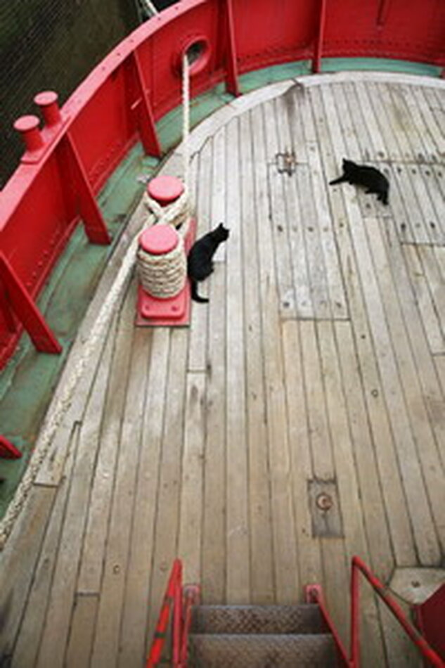 Lightship E16