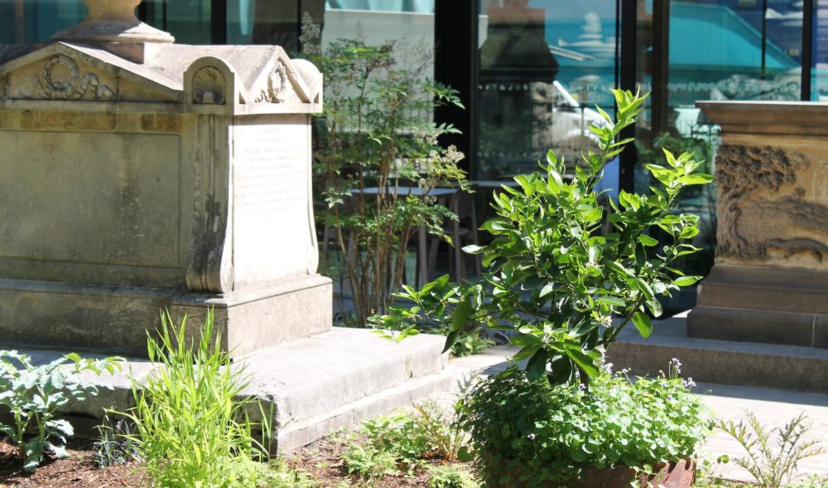Garden Museum, SE1 EXCLUSIVE