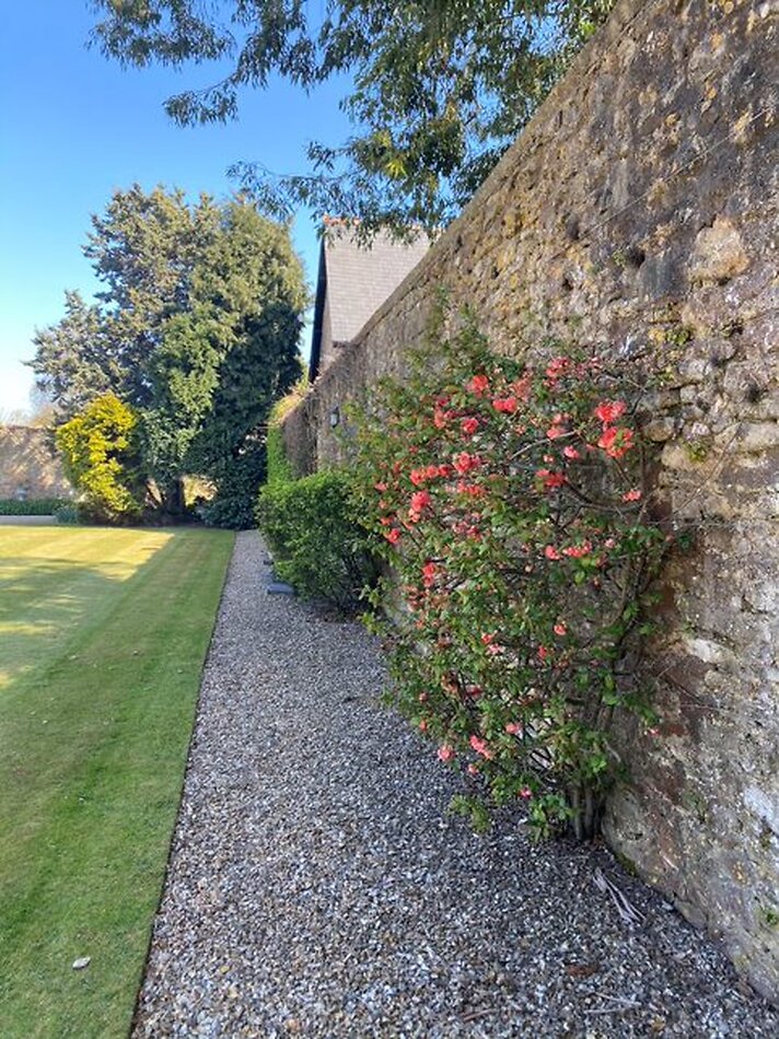 Stunning Somerset Estate - TA5