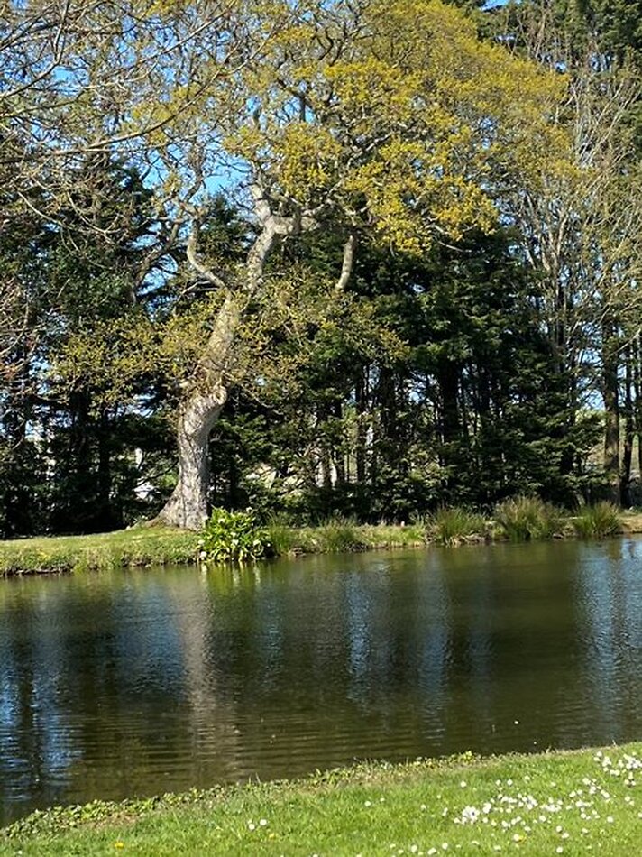 Stunning Somerset Estate - TA5