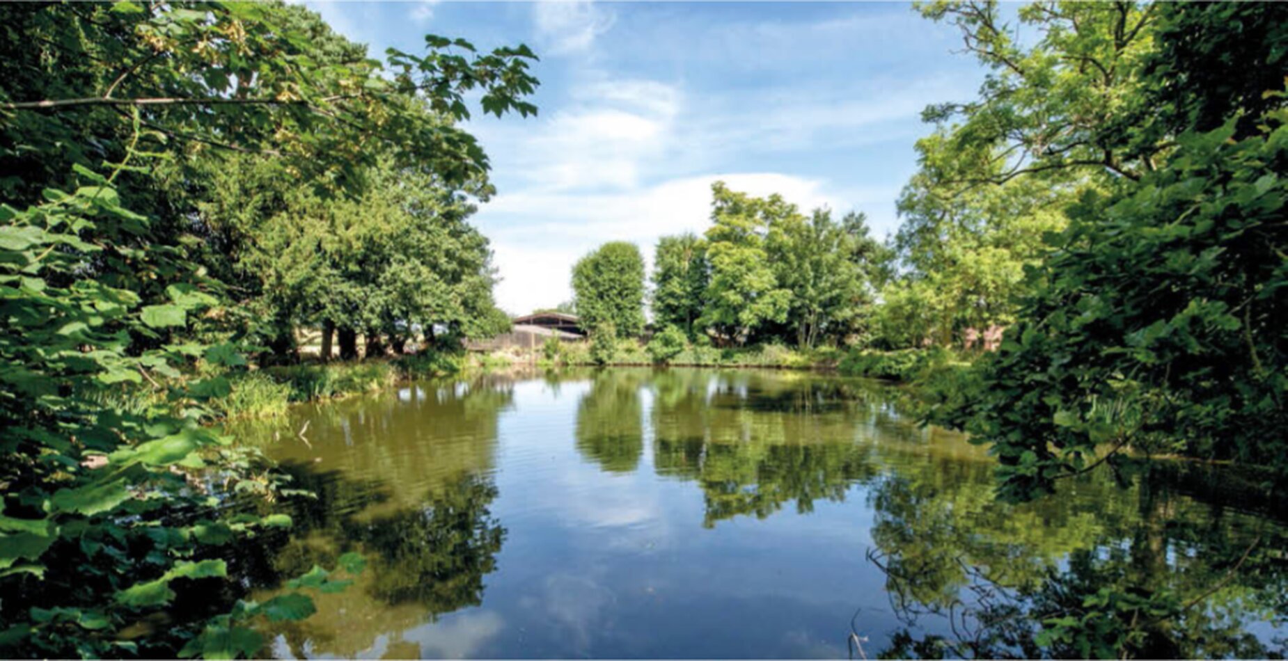 Stunning Somerset Estate - TA5