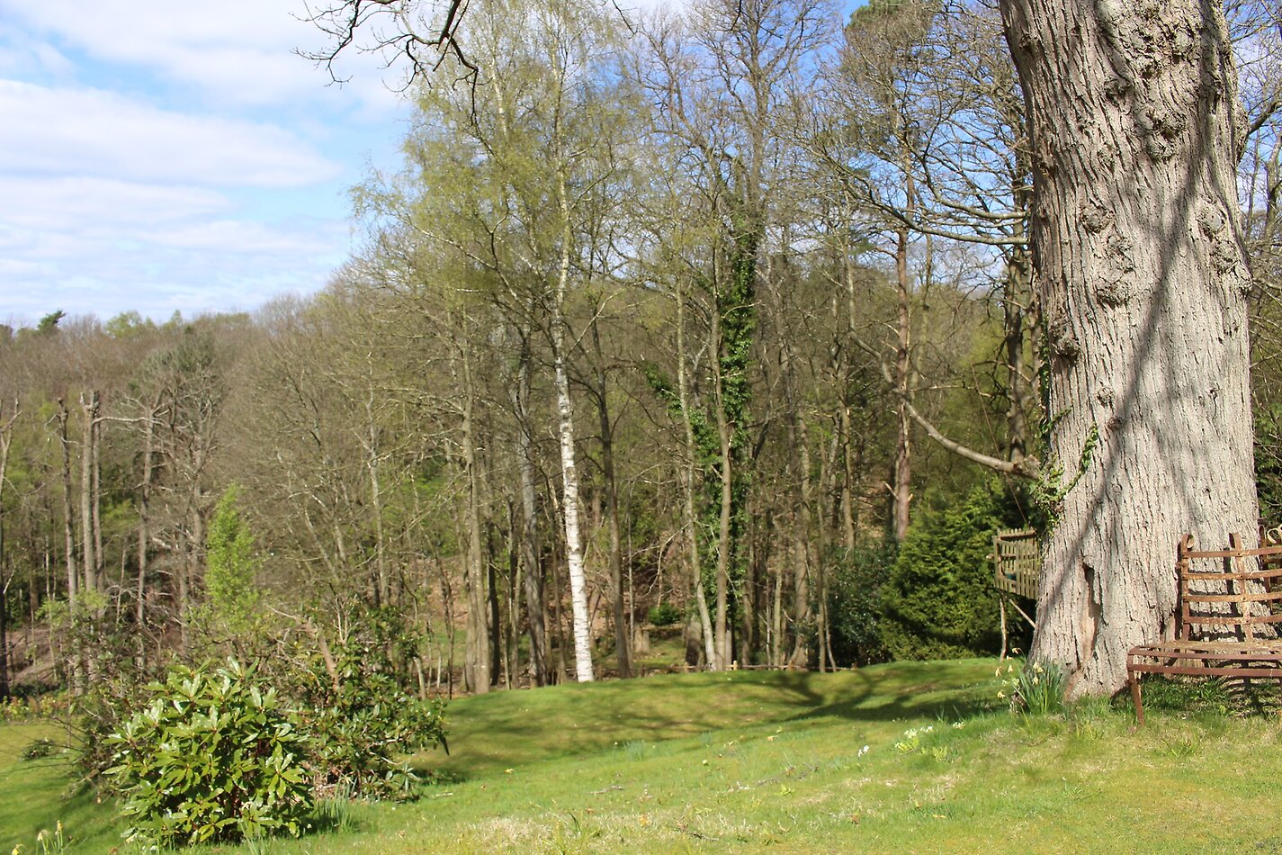 Little Orchard - Hampshire