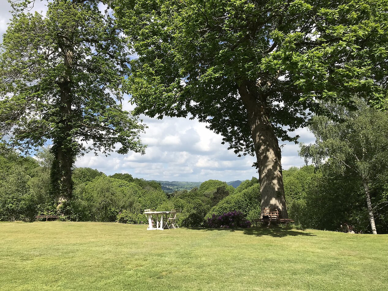 Little Orchard - Hampshire