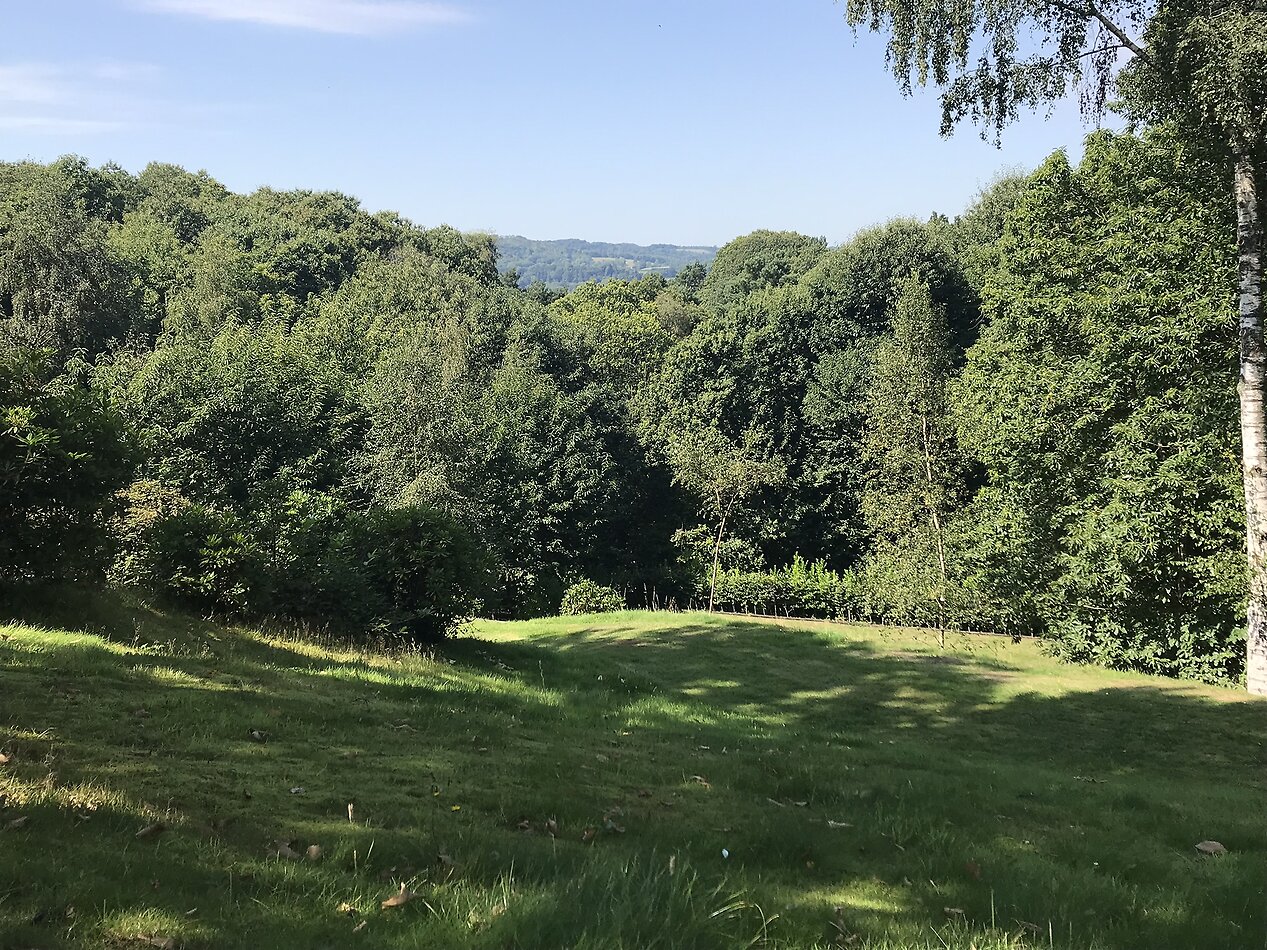 Little Orchard - Hampshire