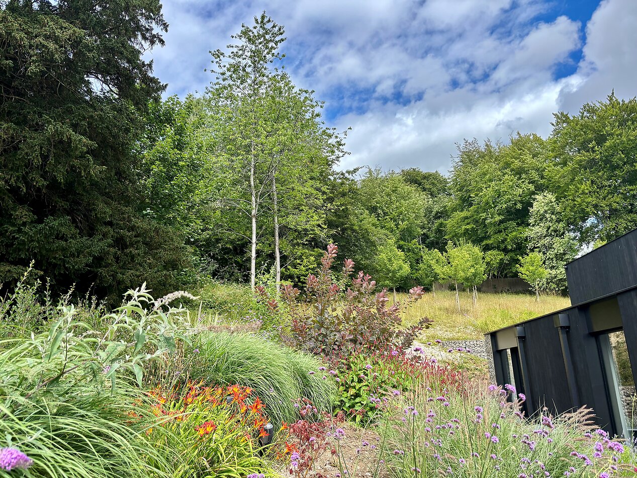 Hillview Surrey
