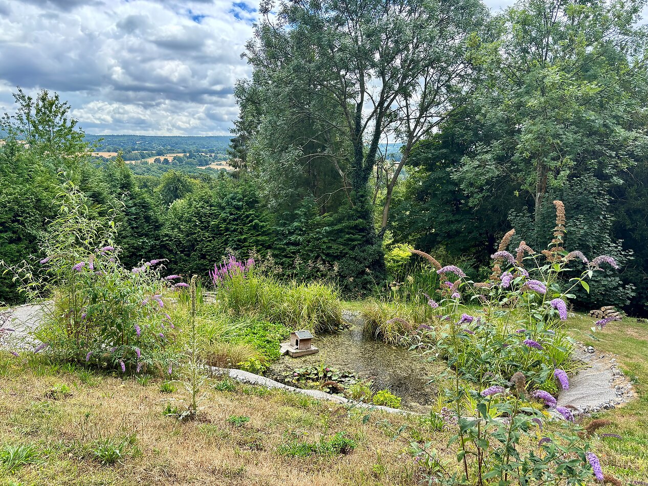 Hillview Surrey