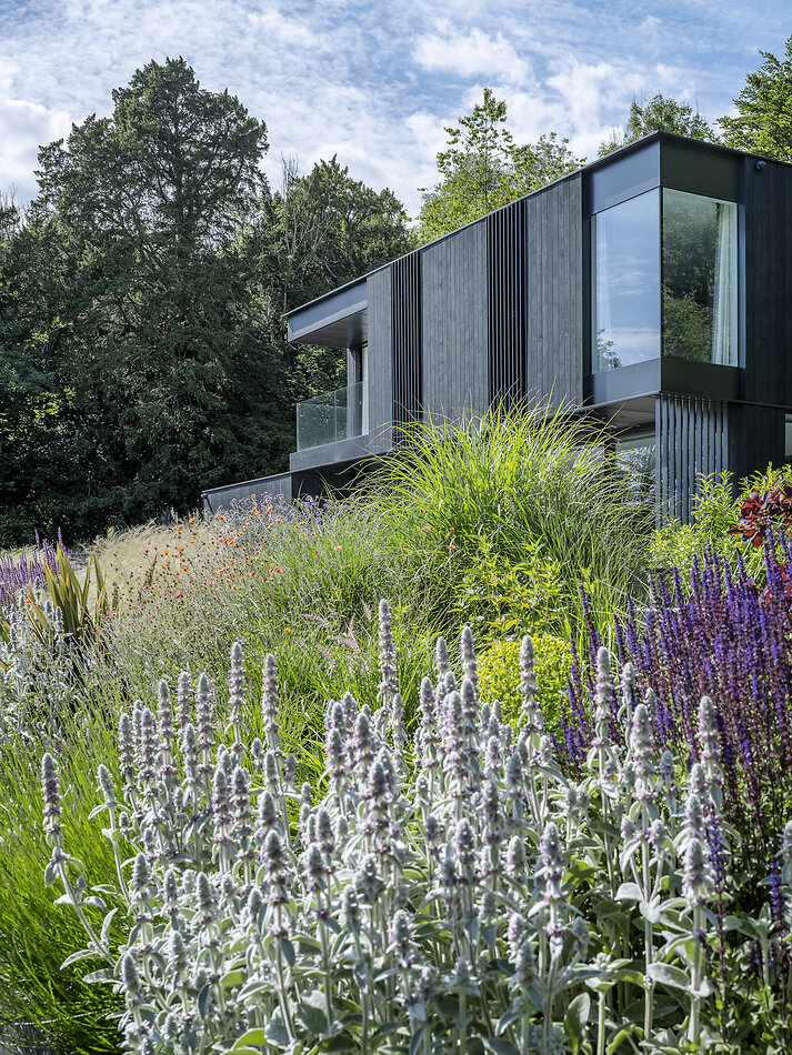 Hillview Surrey