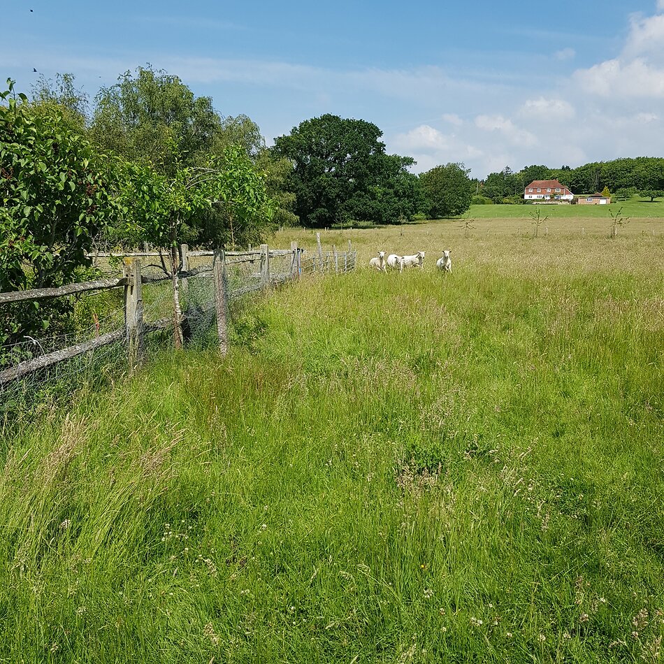 Wagon Lodge - Kent