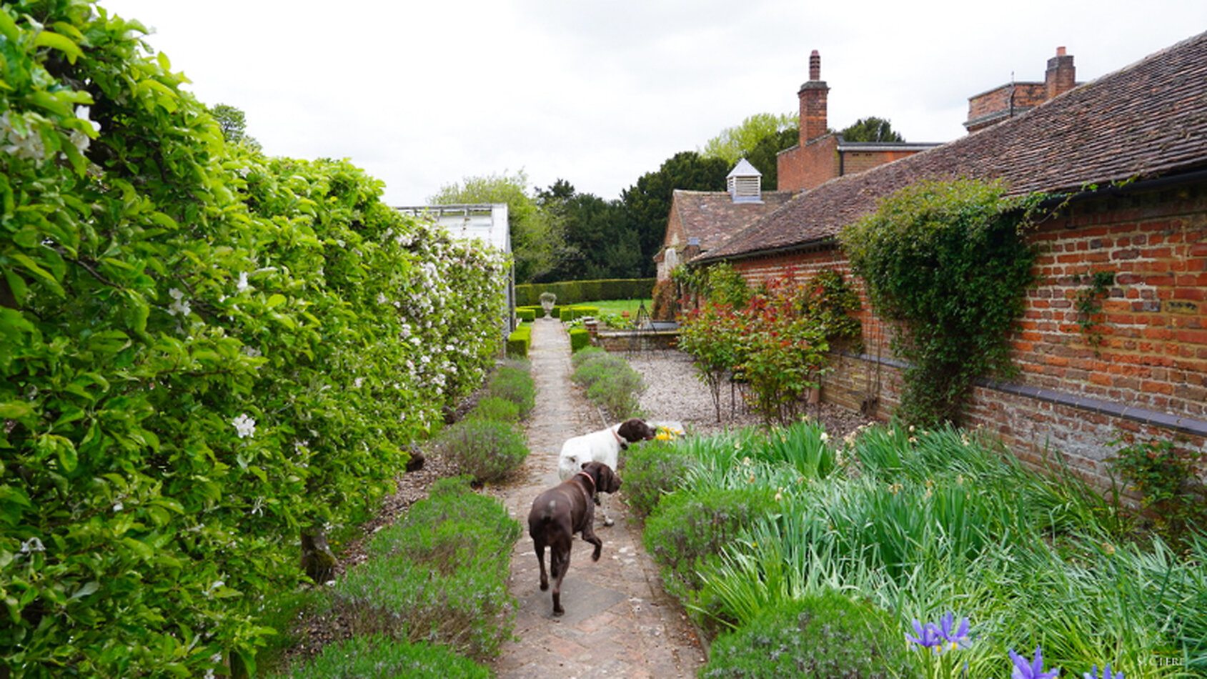 Kemsing Estate - Kent