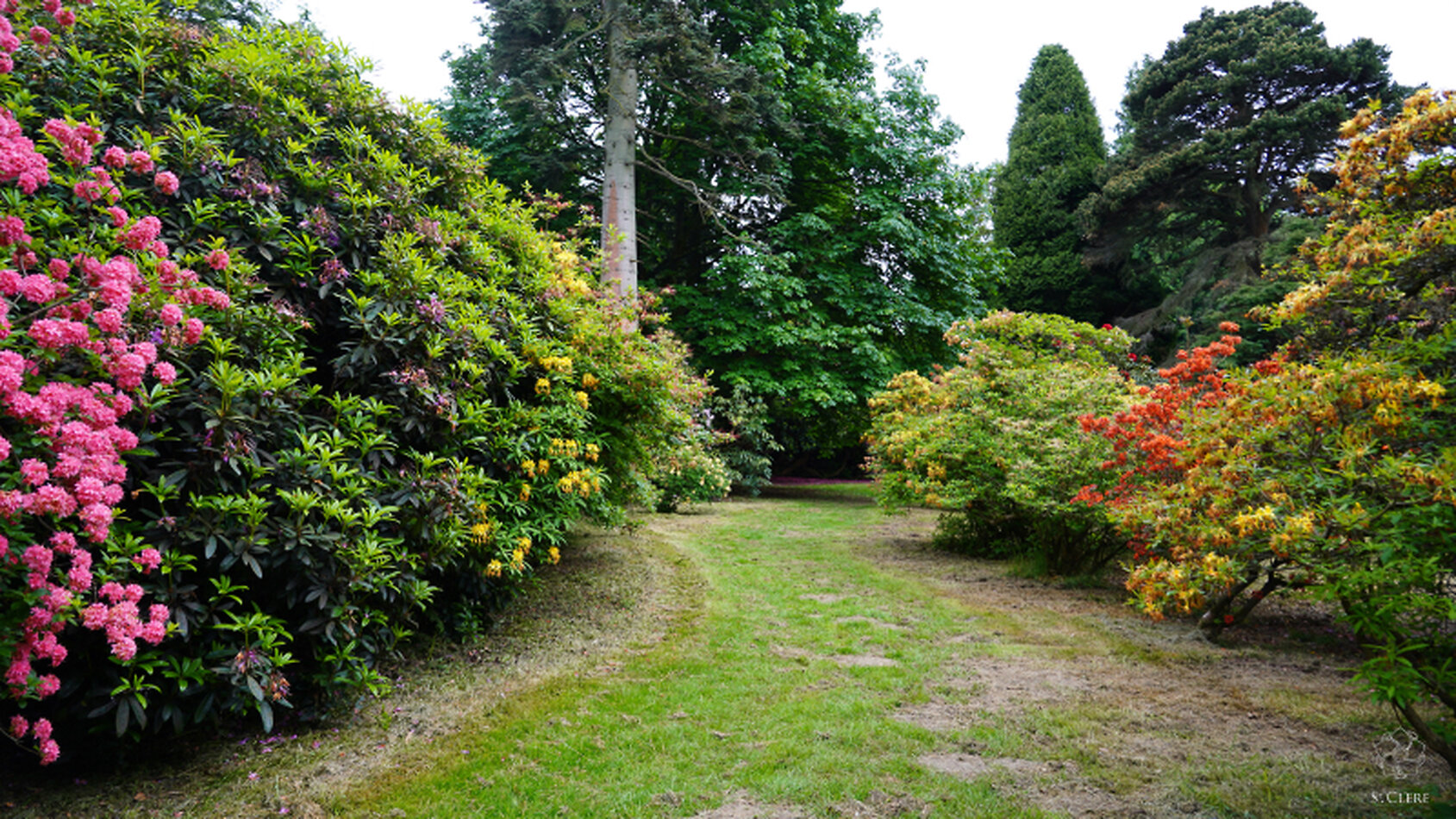 Kemsing Estate - Kent