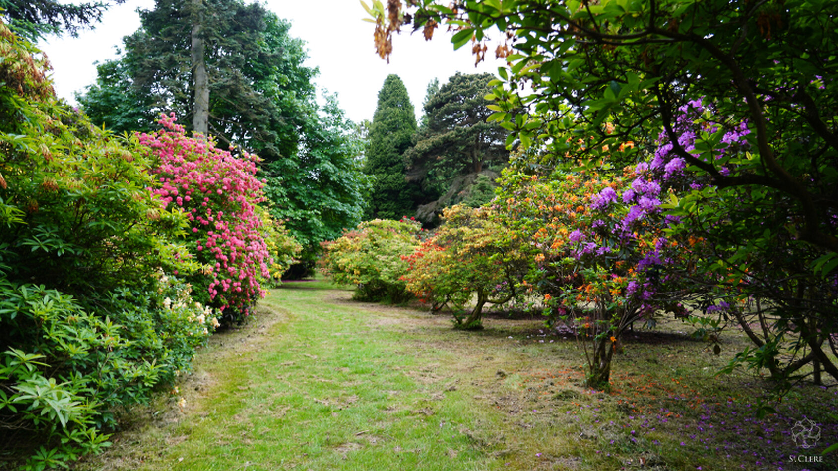 Kemsing Estate - Kent