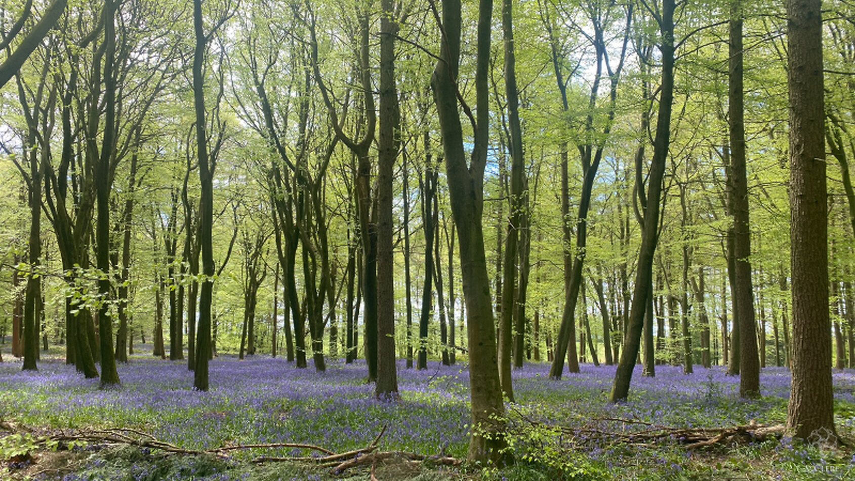 Kemsing Estate - Kent