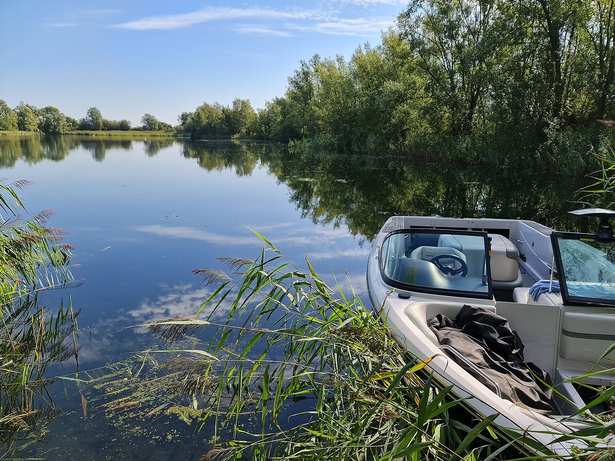 Water Wonderland - PE19